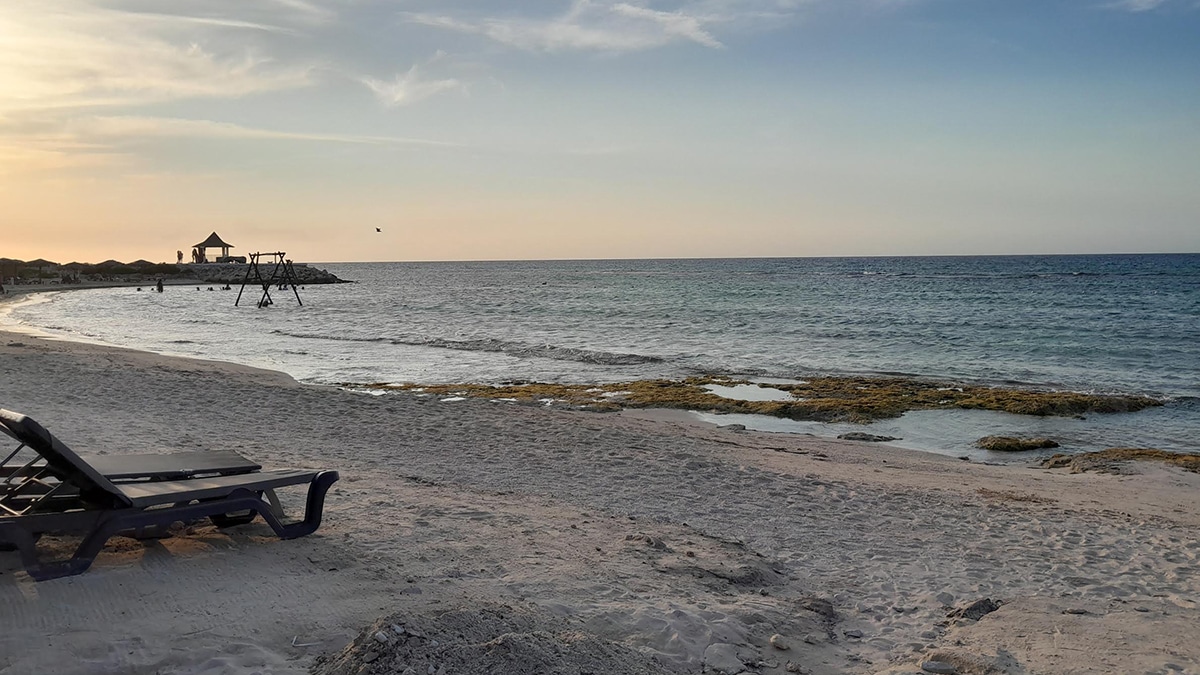 trelawny jamaica