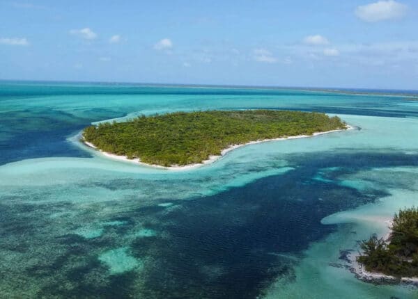 cat cay