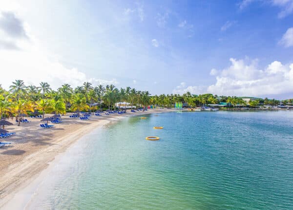 beach with blue water and palm trees