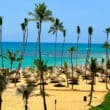 palm trees on golden sand beach in punta cana