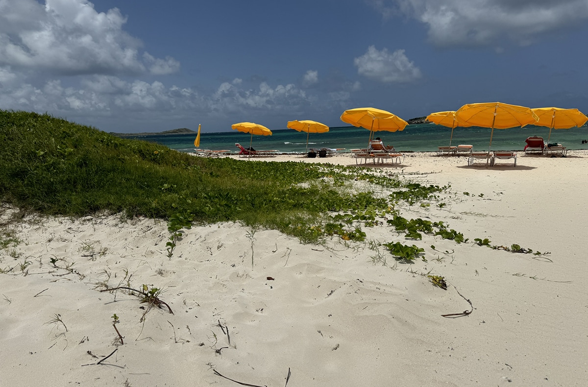 nude beach yellow umbrellas