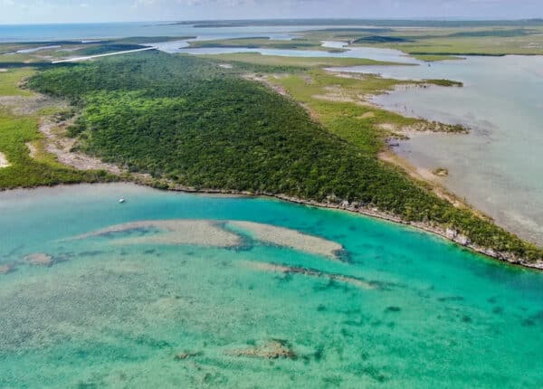 bahamas bullard cay