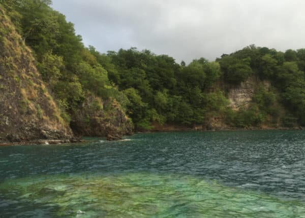 dominica cruise season