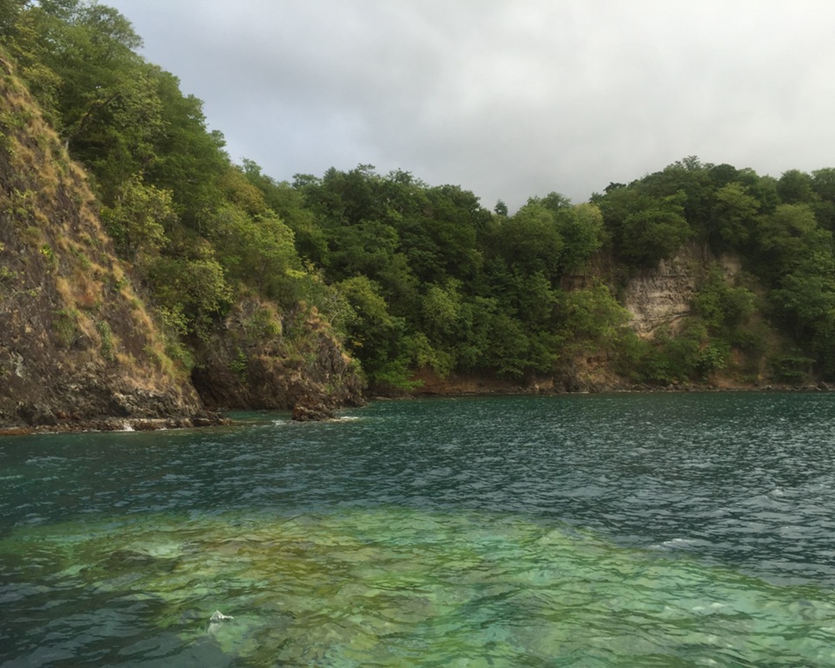 dominica cruise season