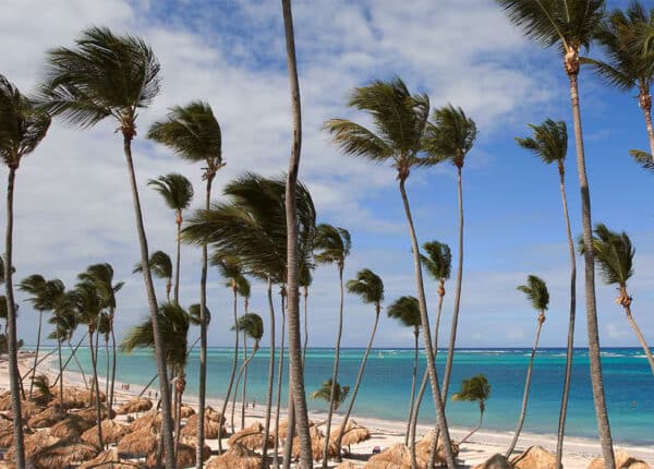 bavaro zel nadal