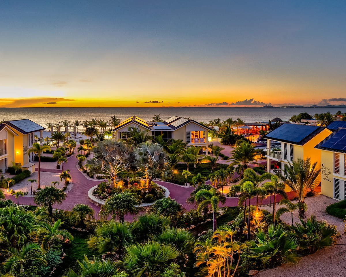 delfins bonaire hilton