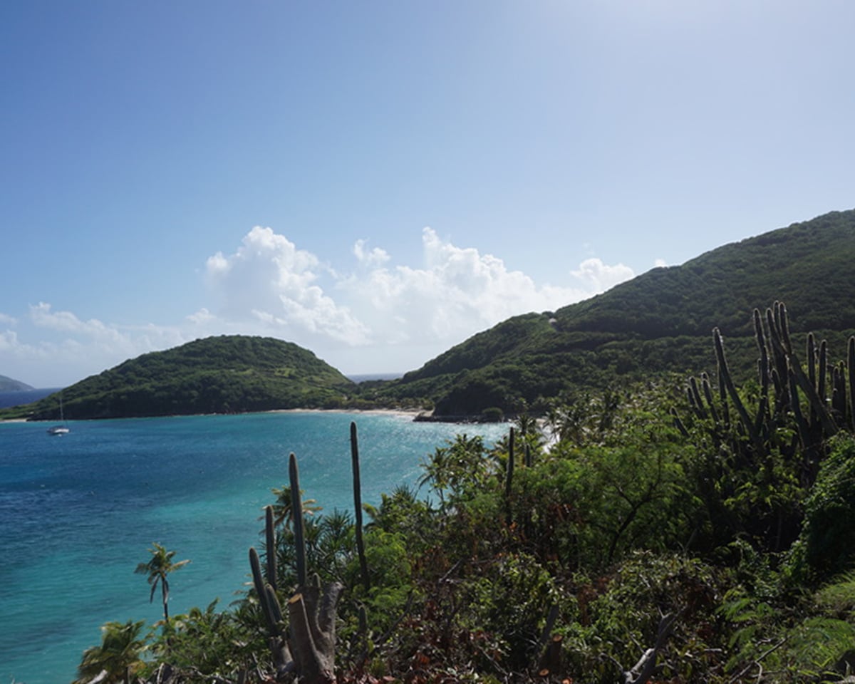 peter island bvi
