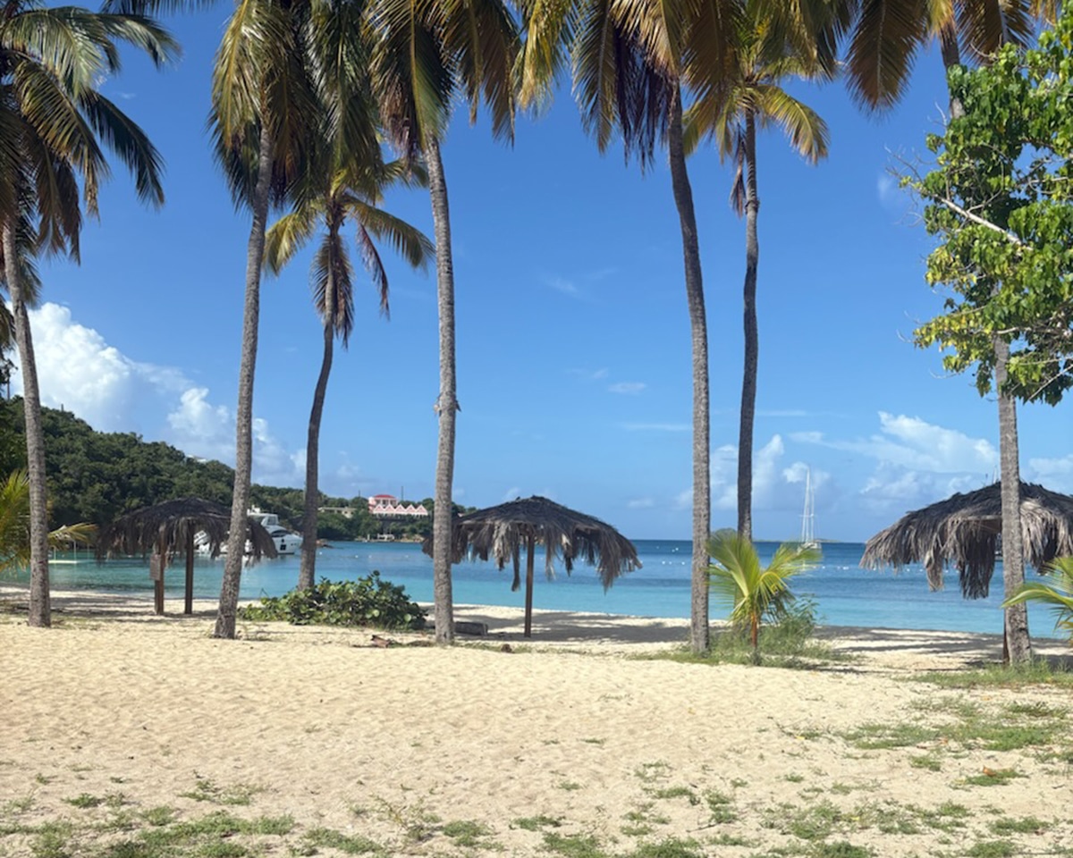 usvi water island photo