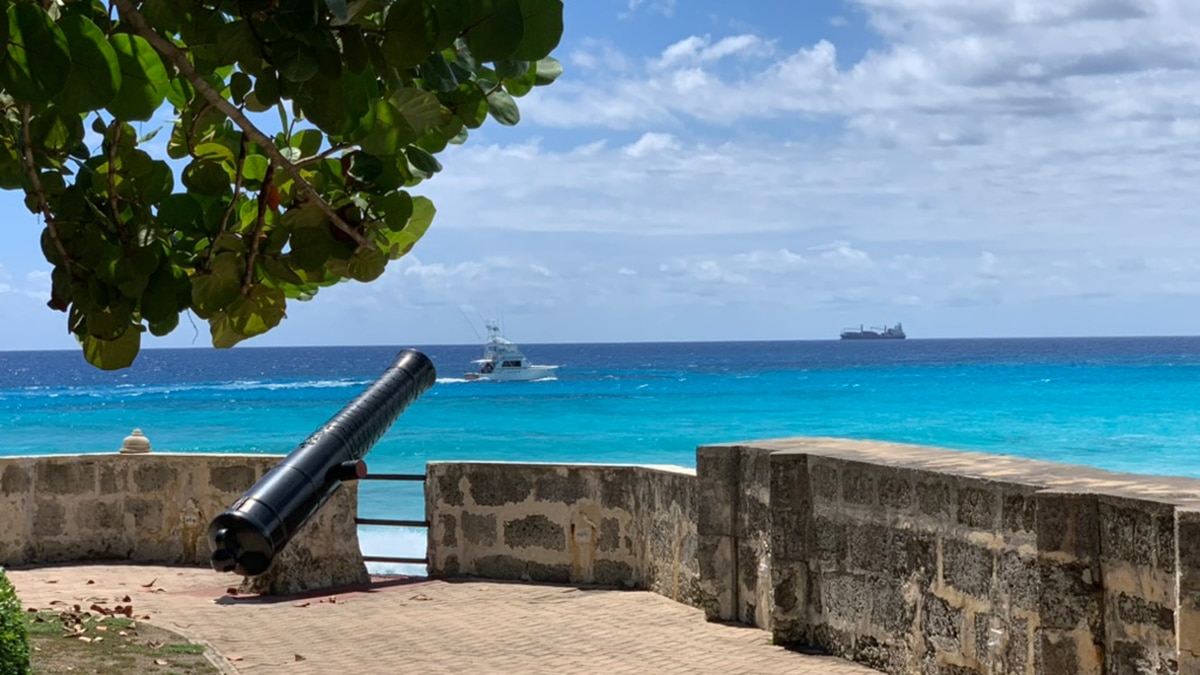 barbados delta airlines flights new york