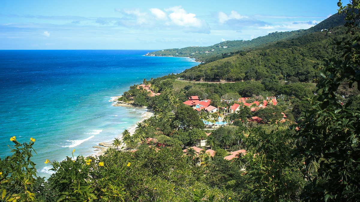 st croix carambola