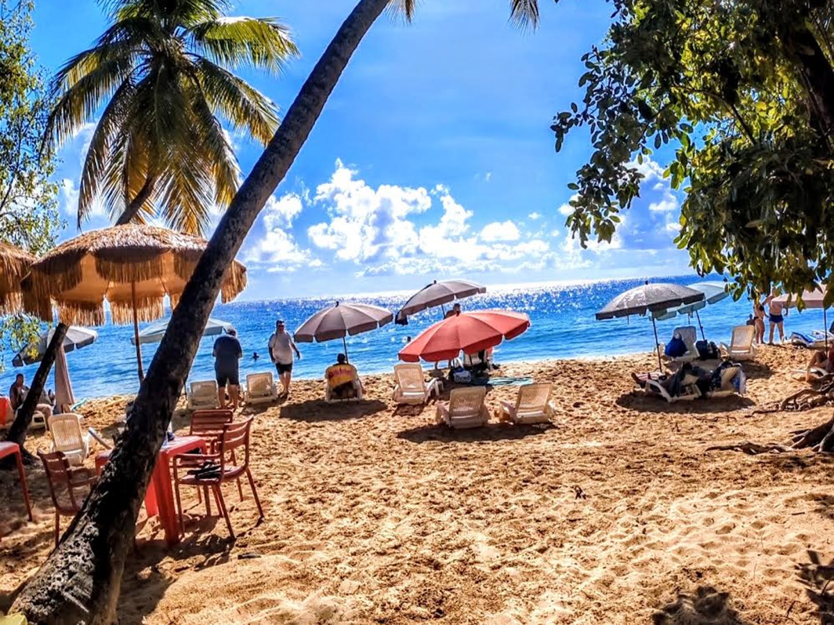 Caribbean Photo of the Week: Salines Beach in Martinique