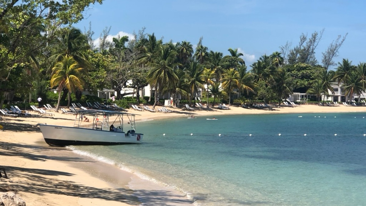 jamaica montego bay flights