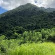 kitts volcano
