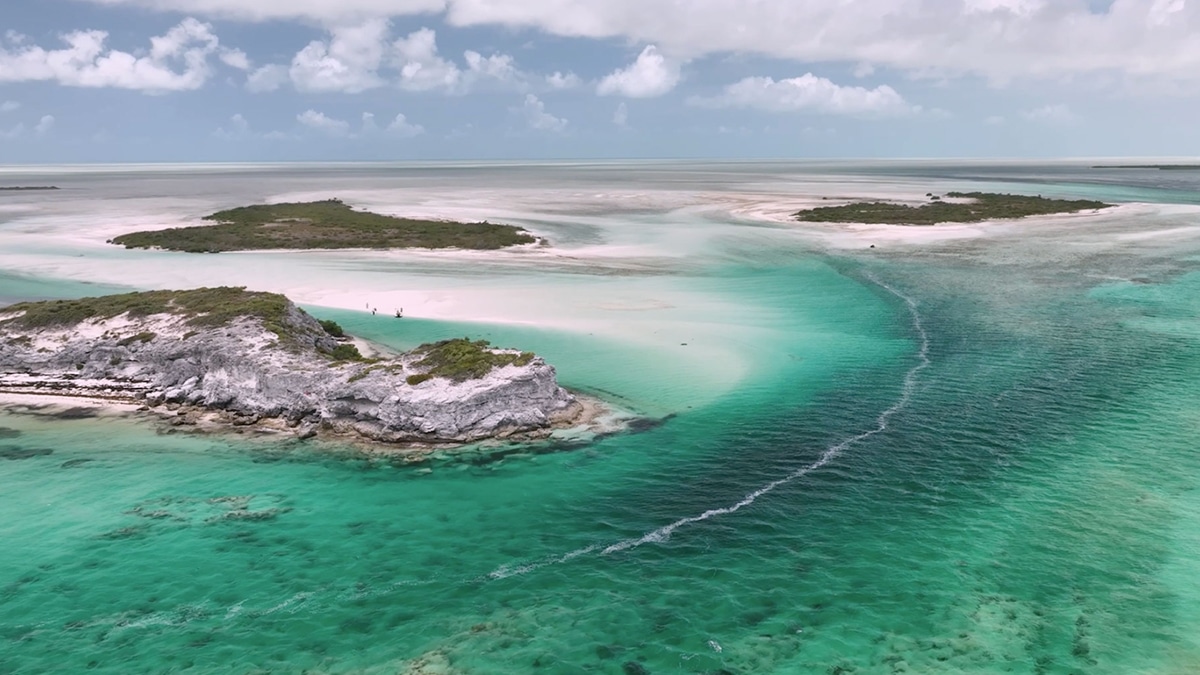 american airlines caribbean island south