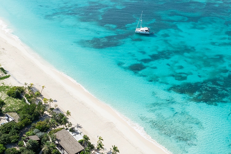 barbuda on the beach