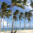 punta cana american airlines