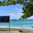 Barbados beach with trees overhead