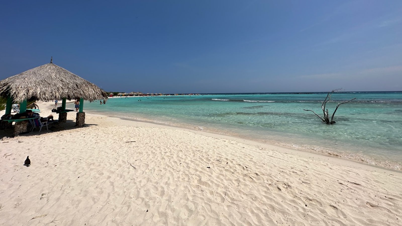 www.caribjournal.com