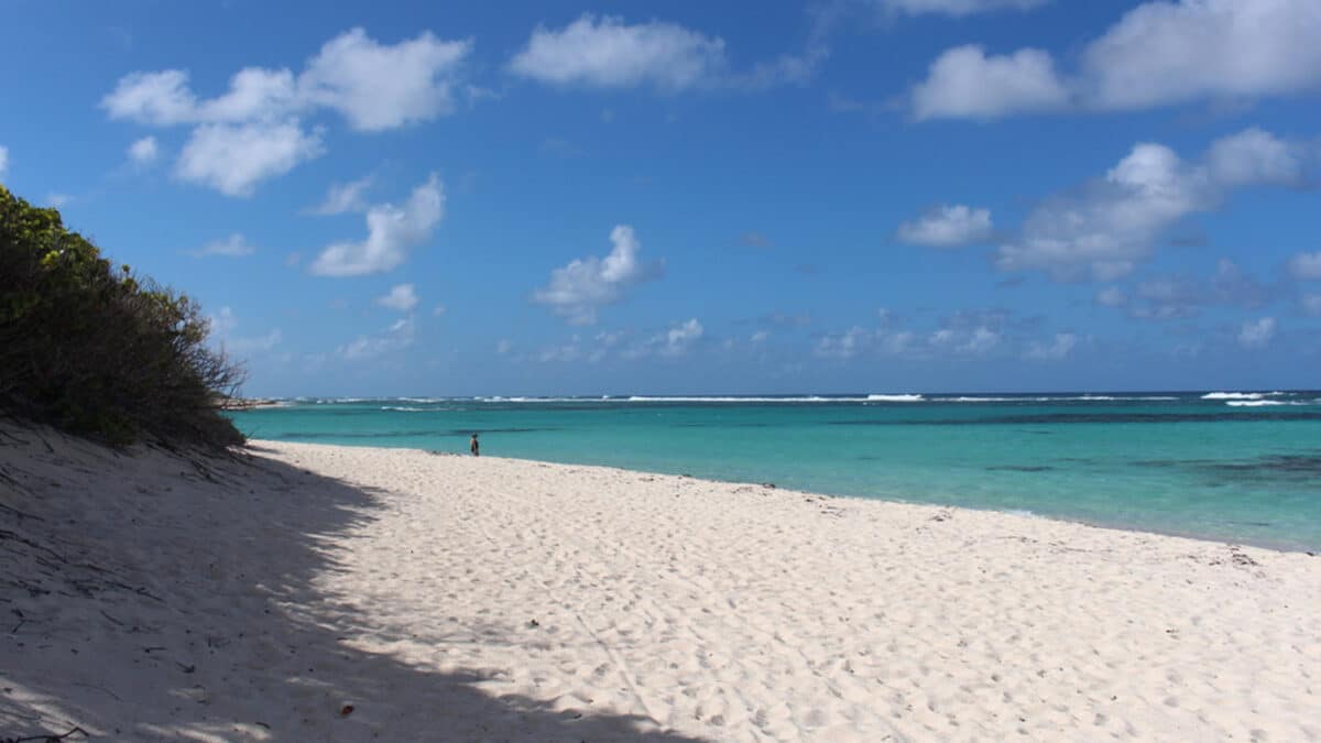 the white sand beach on loblolly bay on the caribbean island of Anegada