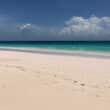 caribbean beach pink sand harbour island