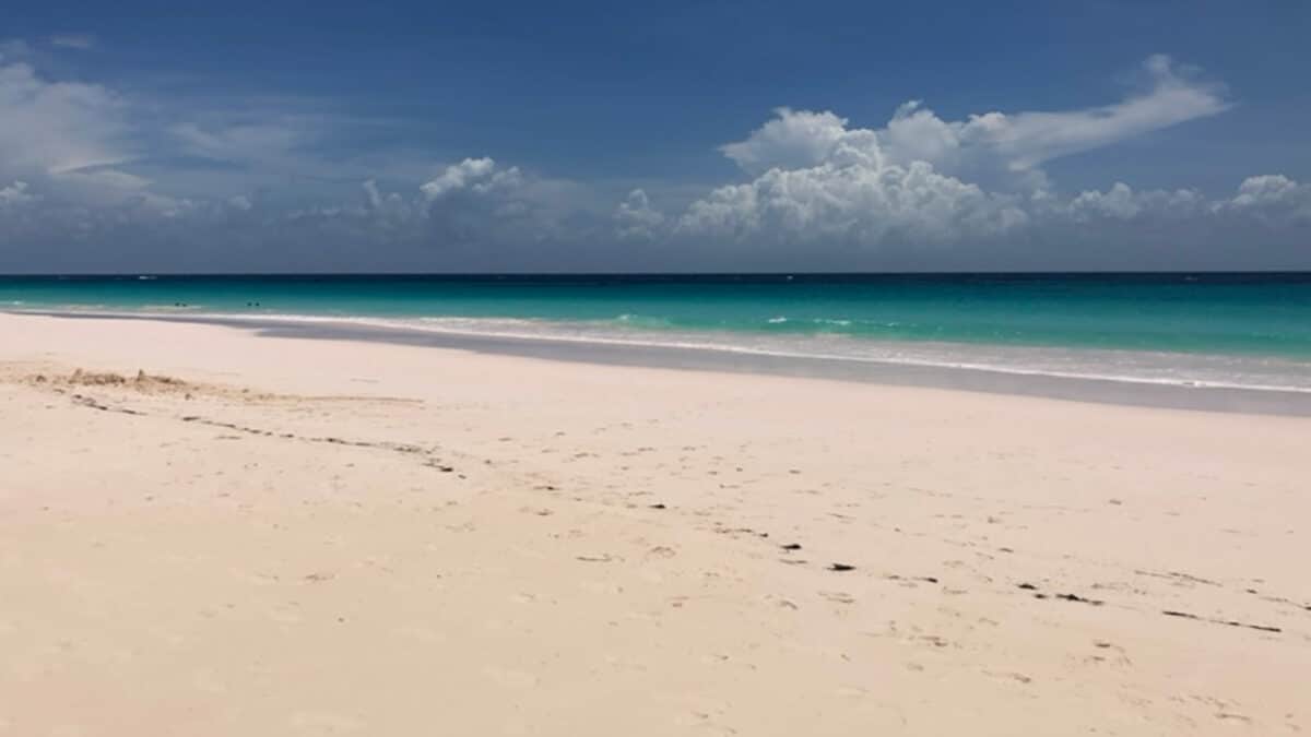 caribbean beach pink sand harbour island