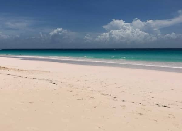 caribbean beach pink sand harbour island
