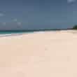 the pink sand on the beach