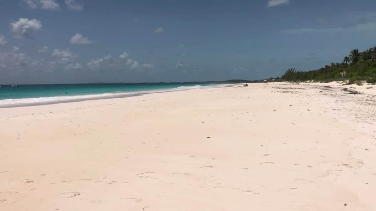 the pink sand on the beach