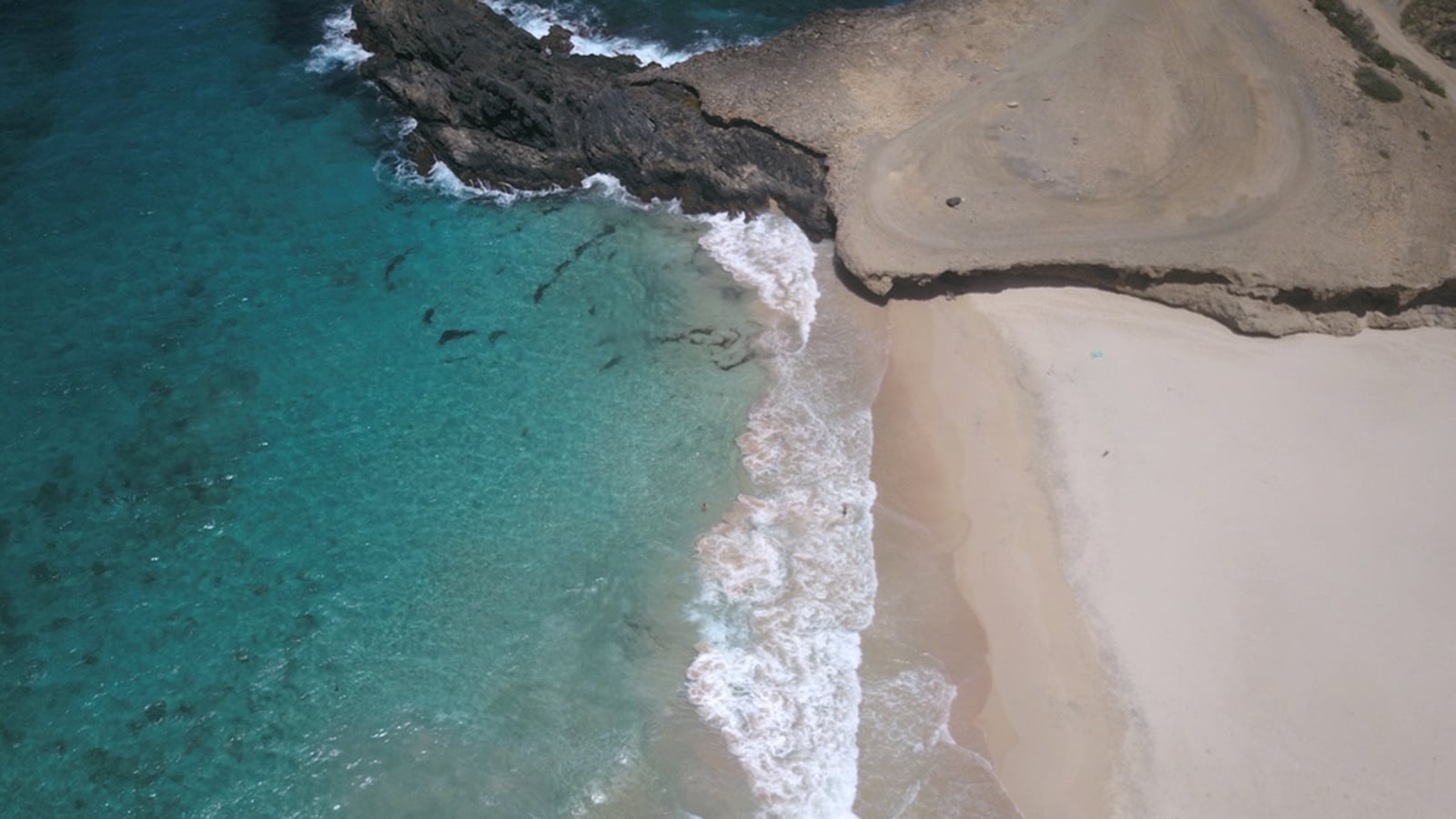 Frontier Just Made Its Return to Aruba, With Demand “Very High”