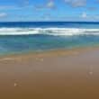 bathsheba barbados
