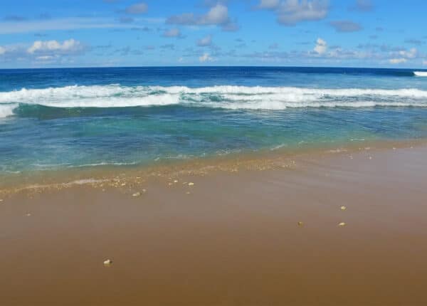 bathsheba barbados