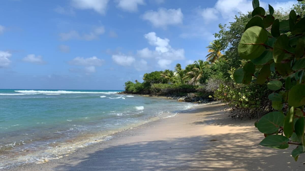 uncrowded beach in st croix