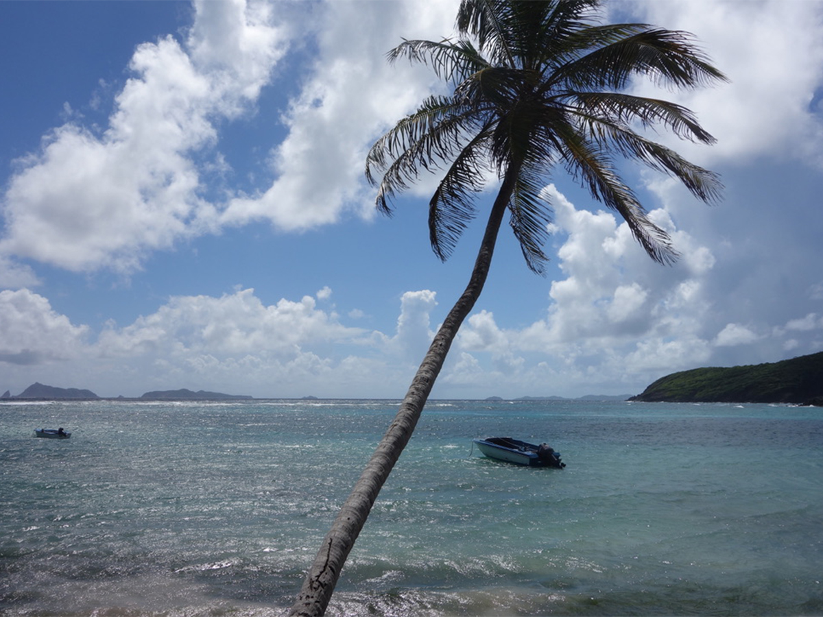 The 10 Best Resorts in St Vincent and the Grenadines, From All-Inclusive Luxury to Stunning Beaches and Island-Hopping