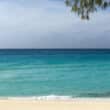 bimini island in the bahamas