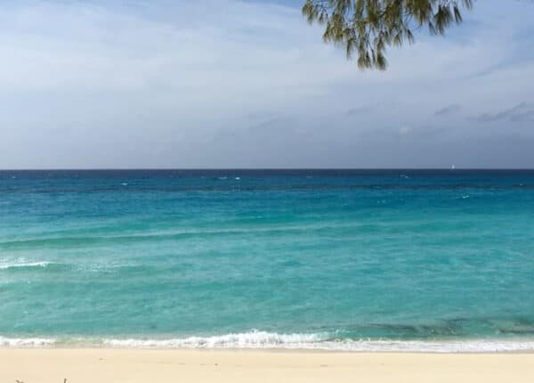 bimini island in the bahamas