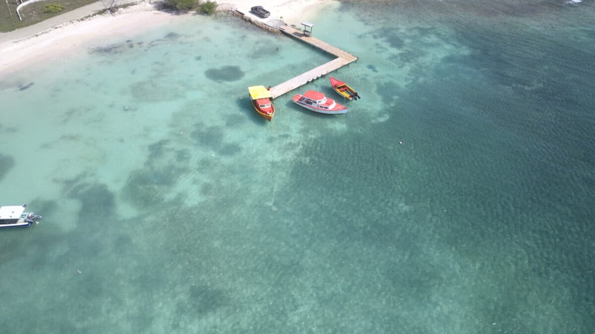 the beach in aruba from the sky
