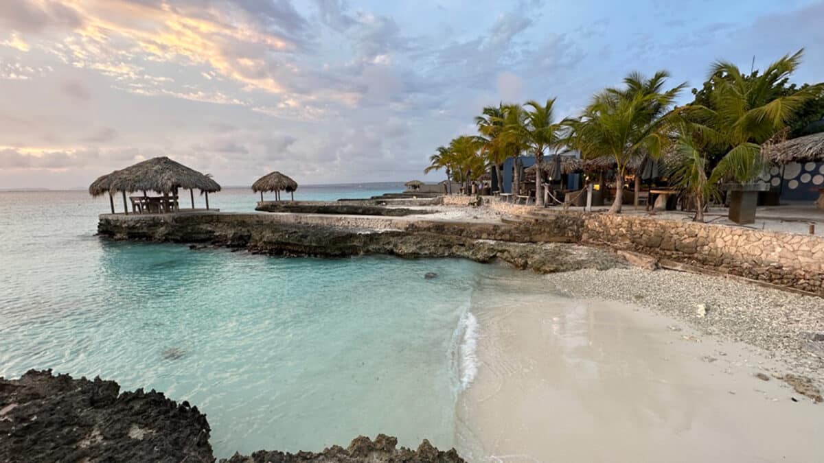 delfins beach resort american airlines