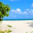 caribbean hospitality careers