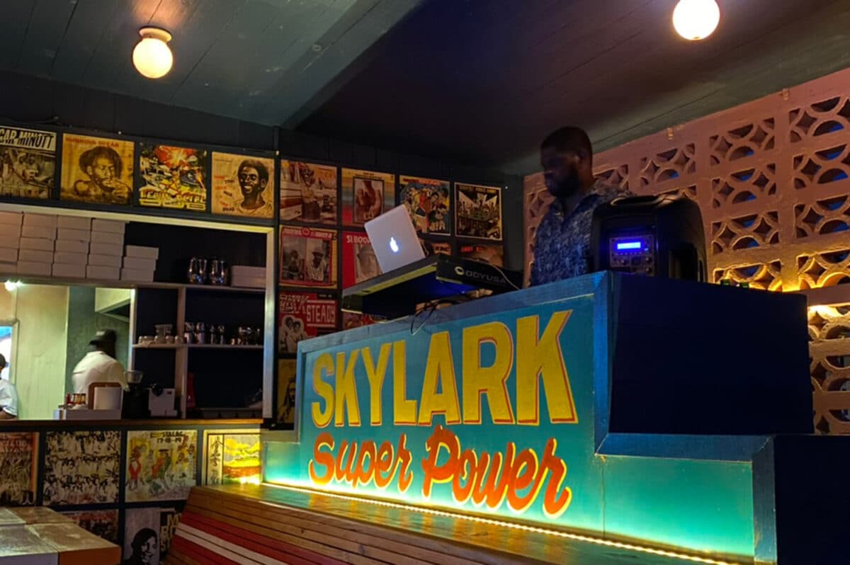 skylark dj