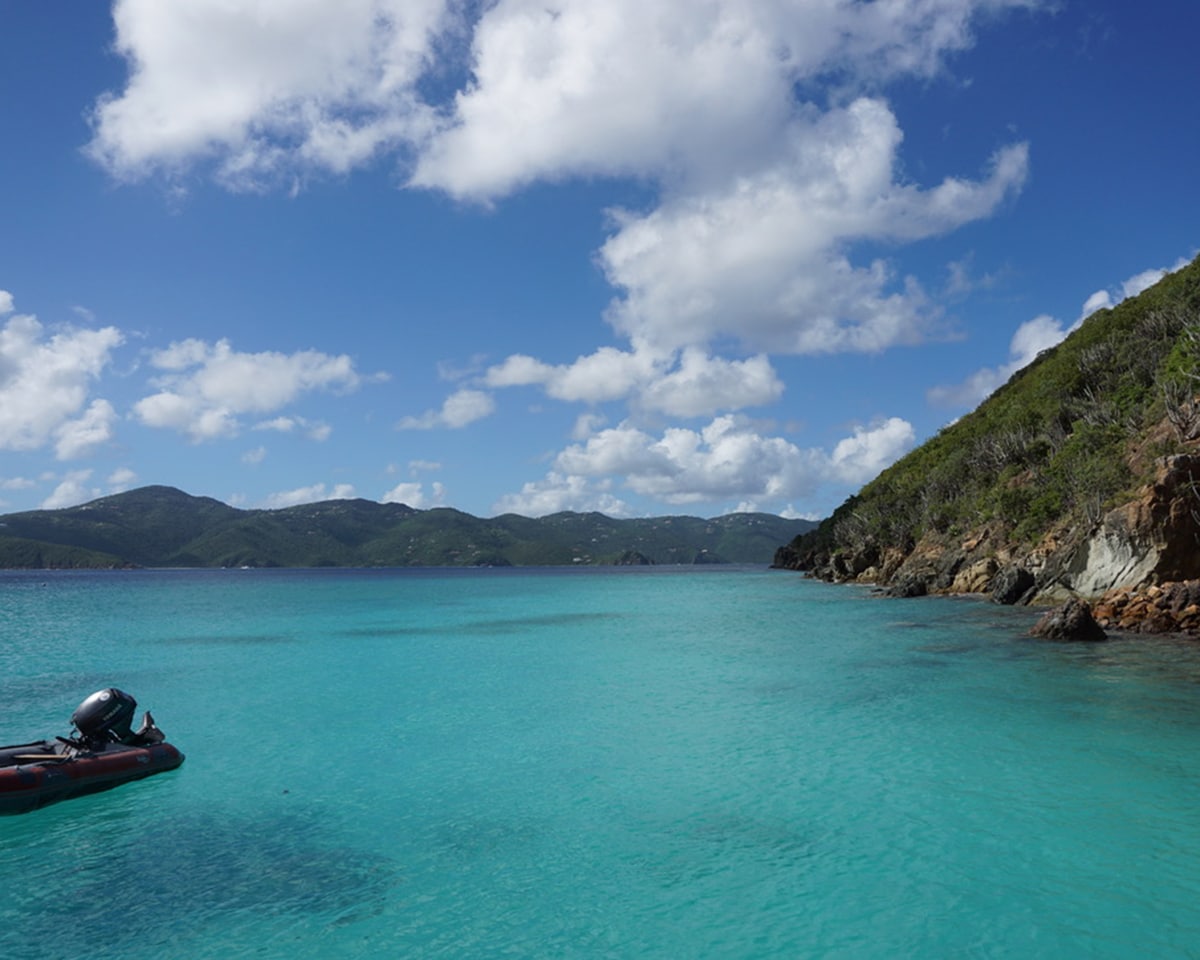 bvi guana island