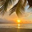 jamaica couples resort sunset