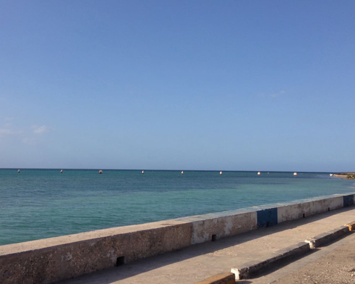 jamaica cruise decline