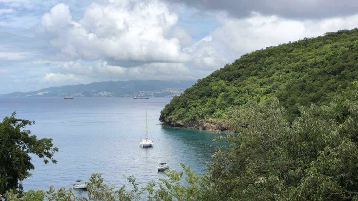 martinique caribbean island