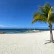 montego bay flights