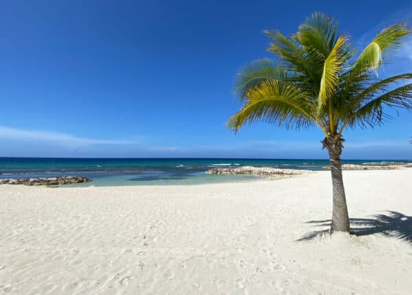 montego bay flights