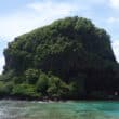 young island grenadines