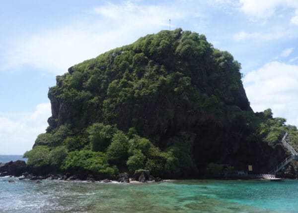 young island grenadines