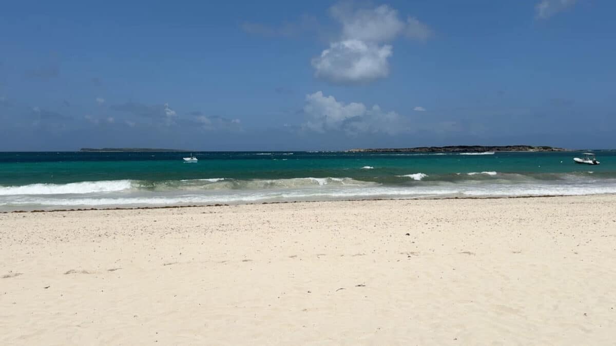 orient bay