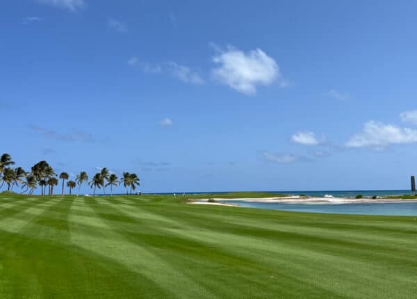 puerto rico dominican republic golf