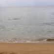 beach in rincon, puerto rico